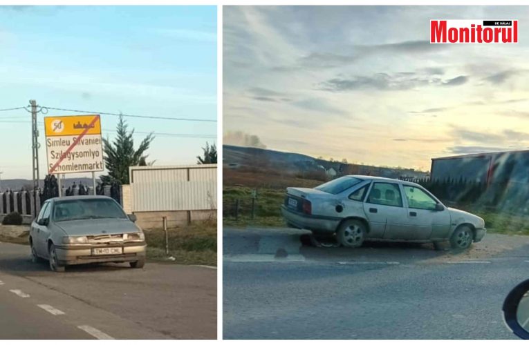 Povestea unei rable abandonată într-o parcare de pe drumul național DN1H, la intrare în Șimleu