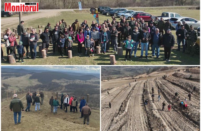 Angajații Primăriei Bălan, împreună cu primarul Daniel Pop, au participat la o acțiune de împădurire