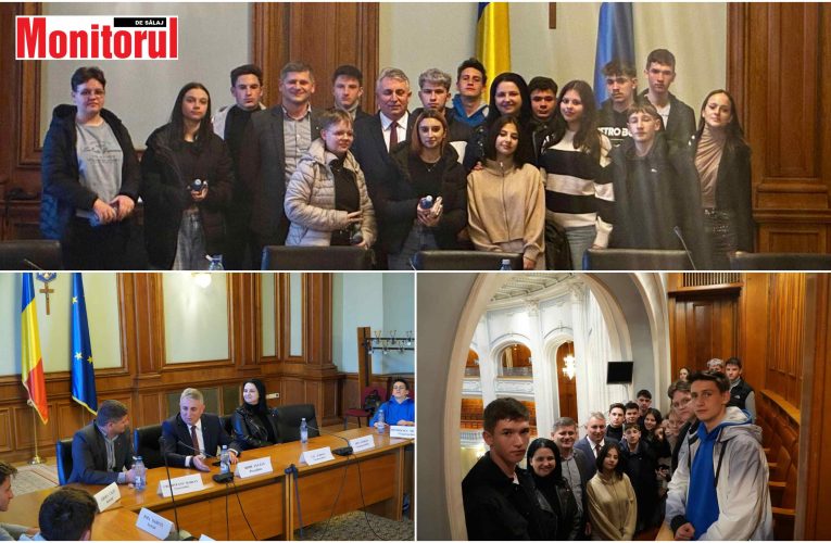 Deputatul Lucian Bode a primit la Parlament vizita elevilor Liceului Tehnologic nr. 1 Gâlgău