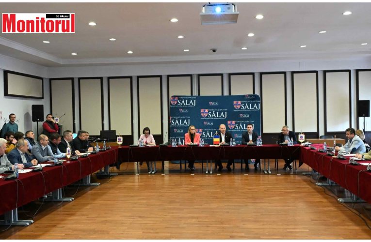 Antreprenorii sălăjeni, parteneri în dezvoltarea Parcului de Specializare Inteligentă Hereclean