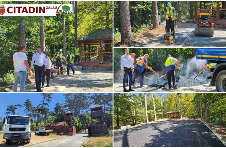 Citadin modernizează Parcul Pădure Brădet