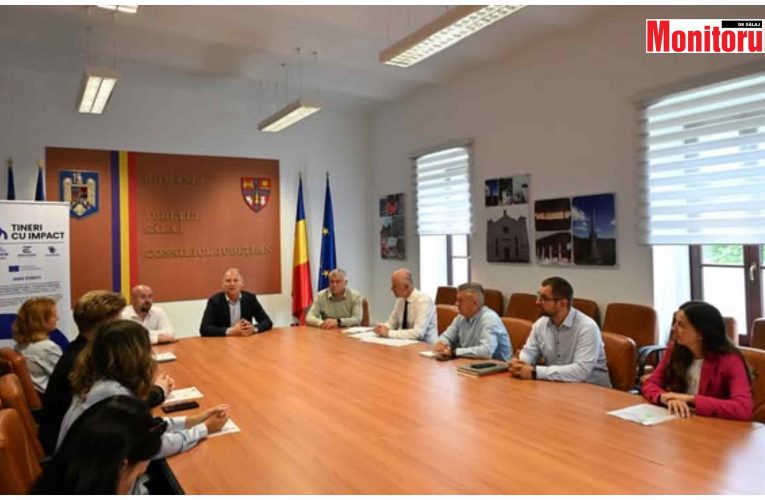 CJ Sălaj partener în proiectul „Tineri cu impact” derulat de AJOFM Sălaj