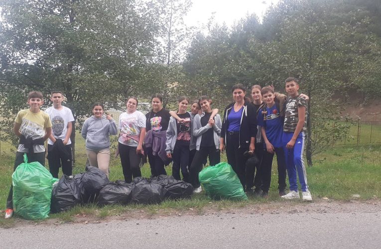Elevii din Sâg au participat la acțiuni de ecologizare în cadrul proiectului Let’s do it România