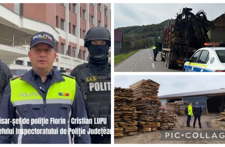 Amplă acțiune pentru protejarea fondului forestier coordonată de adjunctul IPJ Lupu Florin