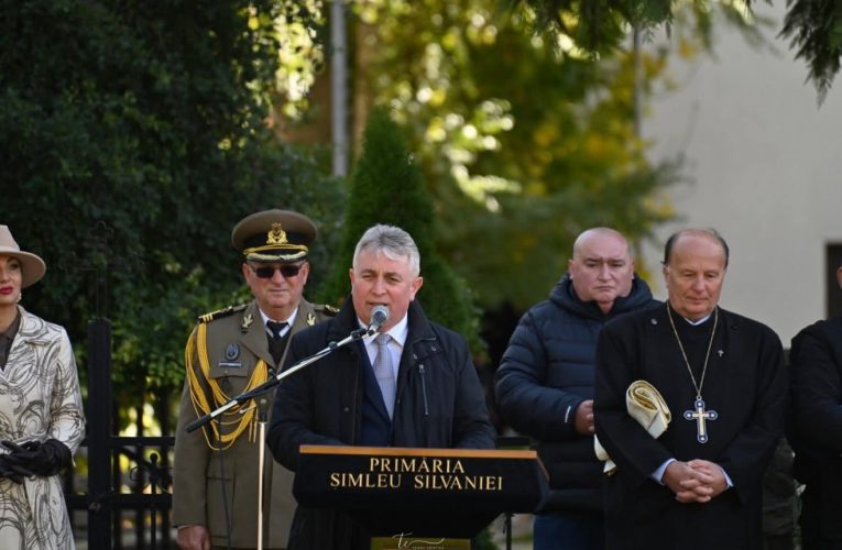 Deputatul Lucian Bode, mesaj de Ziua Armatei Române