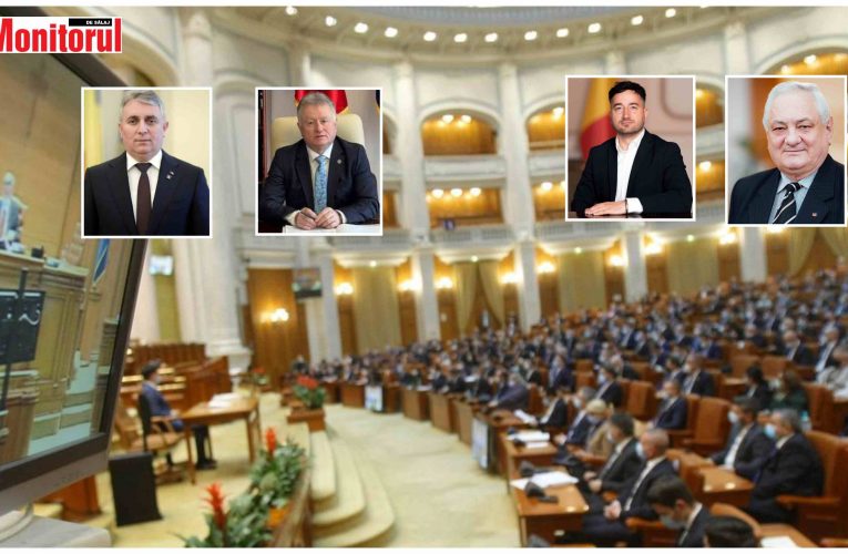 Legea pensiilor private votată în Camera Deputaților. Cum au votat parlamentarii de Sălaj?