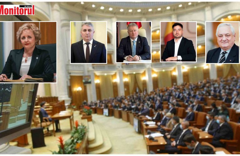 Legea prosumatorilor, inițiată de senatoarea Kovacs Irina, adoptată și cu votul deputaților de Sălaj