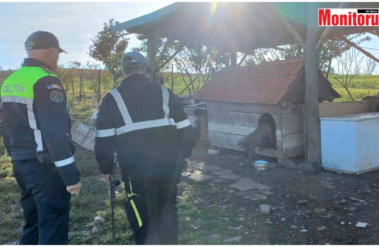 Acțiune a Poliției de Ziua Mondială a Animalelor