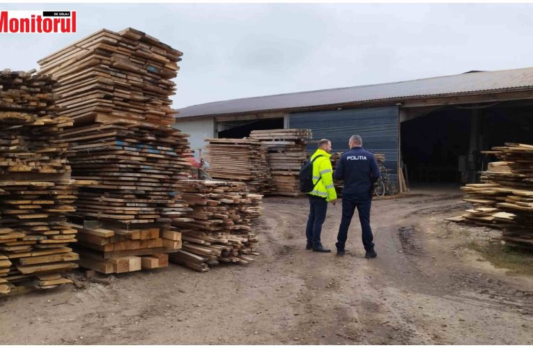 Șef de ocol silvic, pădurar și mai multe firme cercetate penal pentru mai multe infracțiuni