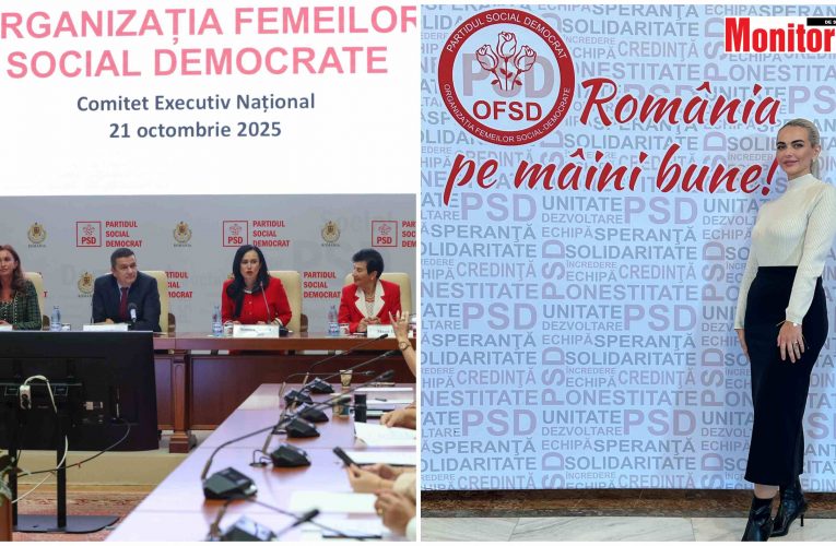 Femeile din PSD – Declaraţie politică privind recunoaşterea femicidului ca realitate socială
