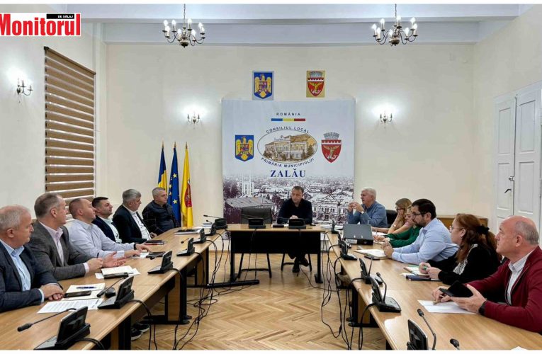 Primarul Florin Florian caută soluții pentru funcționarea mai bună a insulelor ecologice