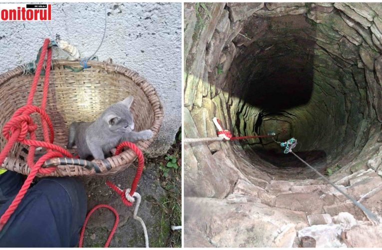 Pisică căzută într-o fântână, salvată de pompieri