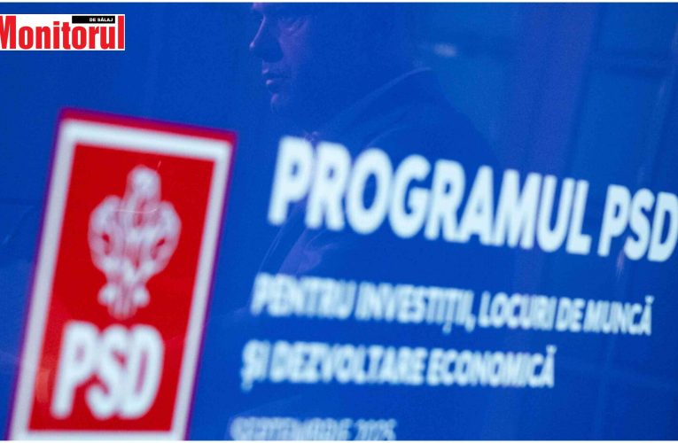 PSD insistă pentru implementarea programului propus pentru stimularea economică