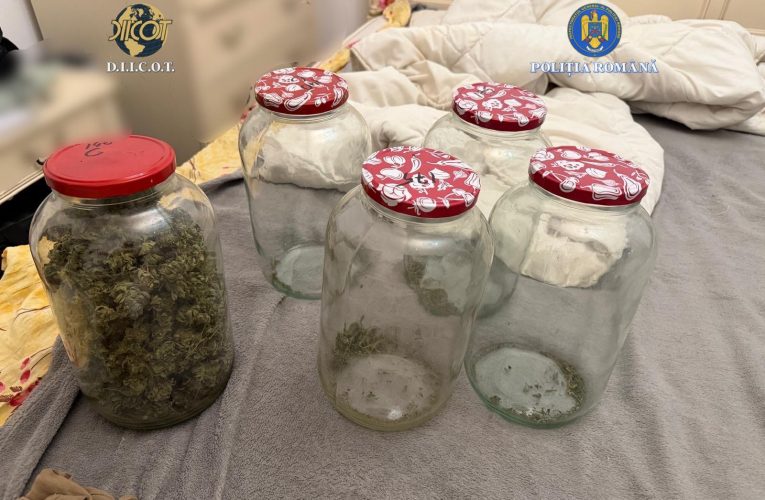 Traficant de droguri prins de procurorii D.I.I.C.O.T Sălaj