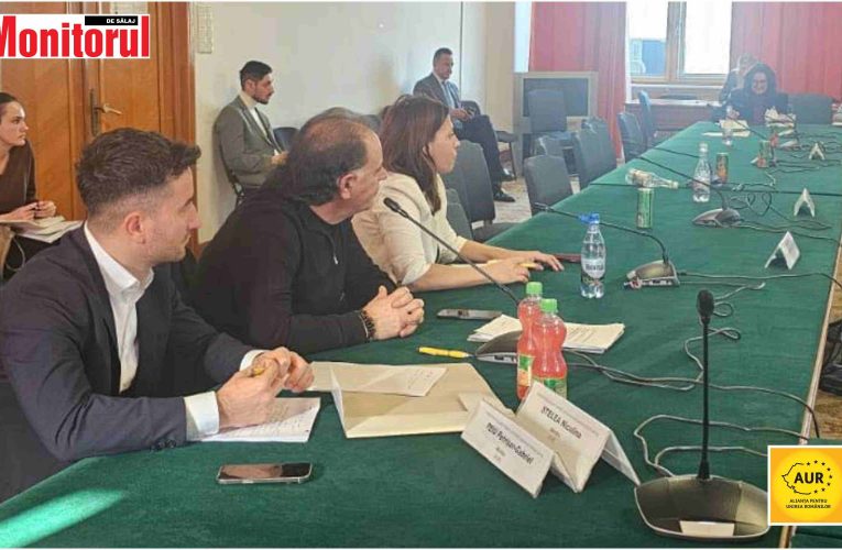 Deputatul AUR, Lucian Mușat: „AUR, singurul partid care apără interesele antreprenorilor români”