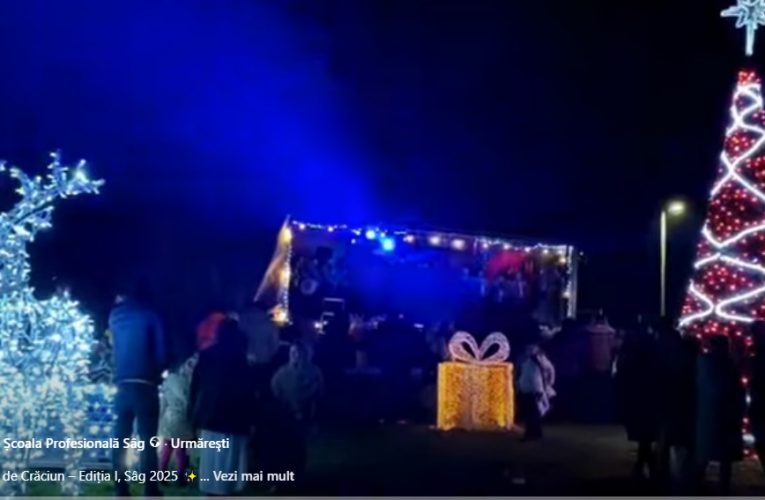 VIDEO | Sute de oameni prezenți la prima ediție a Târgului de Crăciun de la Sâg