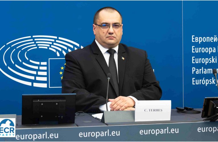 Europarlamentarul Cristian Terheș despre rezoluția „Protecția minorilor online” adoptată de Parlamentul European