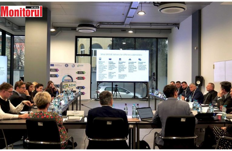 Vicepreședintele CJ Sălaj, Adrian Crișan, întâlnire cu o delegație a Bancii Mondiale la Cluj