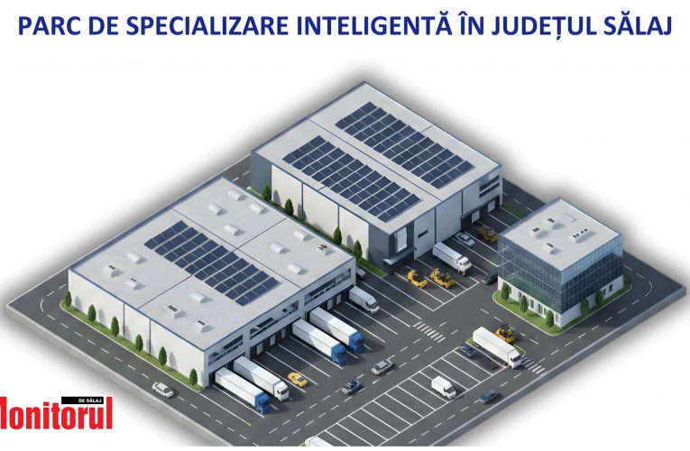 Consiliul Județean îți oferă oportunitatea să îți dezvolți afacerea în Sălaj! Vezi detaliile