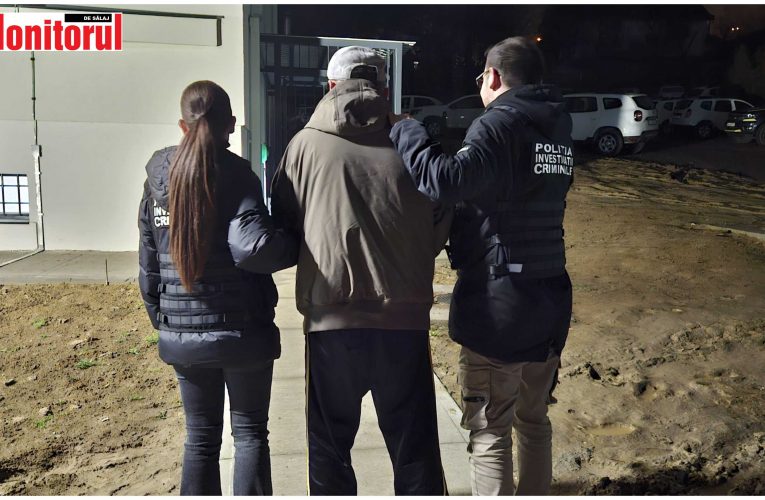 Bărbat din Zalău reținut de Poliție pentru furt