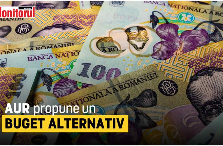 AUR propune un buget alternativ pentru România