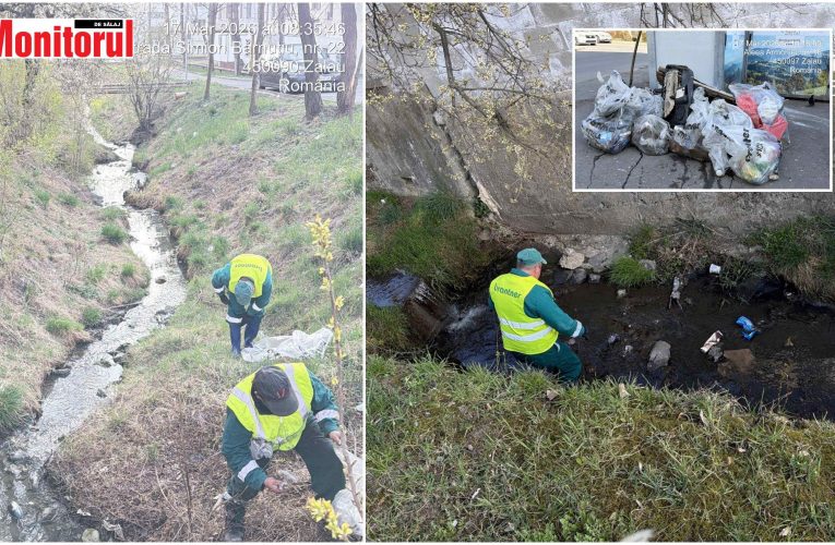 Brantner participă la acțiunea „Luna Curățeniei de Primăvară” în Municipiul Zalău