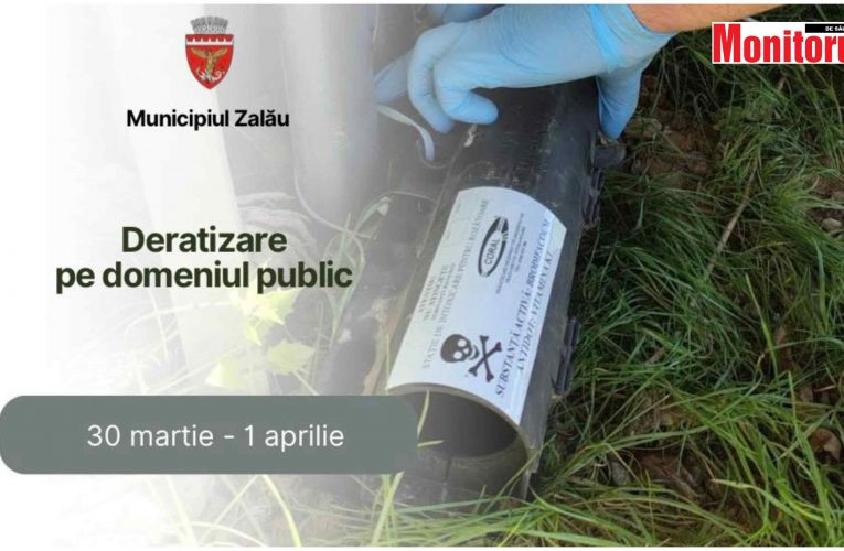 Societatea Coral Impex SRL a început acțiunea de deratizare în Zalău