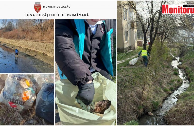 Două licee și 5 instituții s-au alăturat programului „Luna Curțăniei de Primăvară” în Zalău