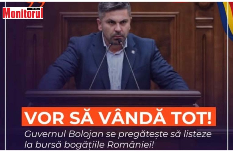 Senatorul Liviu Fodoca: „Vânzarea companiilor de stat este un atentat direct la siguranța națională”