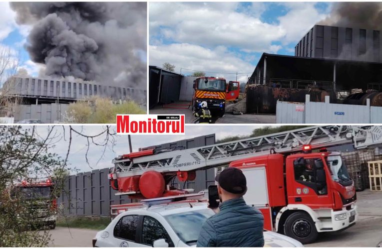 ULTIMĂ ORĂ! Incendiu puternic la soponăria din Horoatu Crasnei