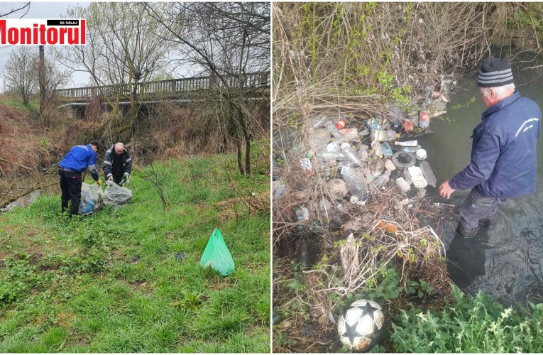 Angajații de la SGA Sălaj s-au alăturat campaniei „Șimleul curat”