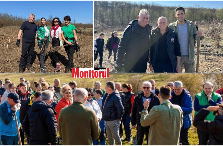 Deputatul Lucian Bode a plantat pomi în cadrul campaniei „Șimleul Curat”
