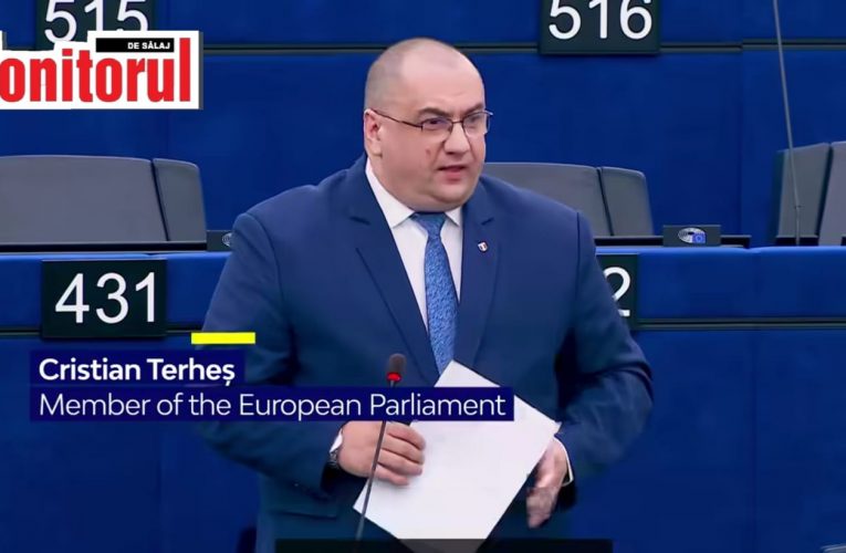 VIDEO| Europarlamentarul Cristian Terheș a criticat tranziția la „oțelul verde”