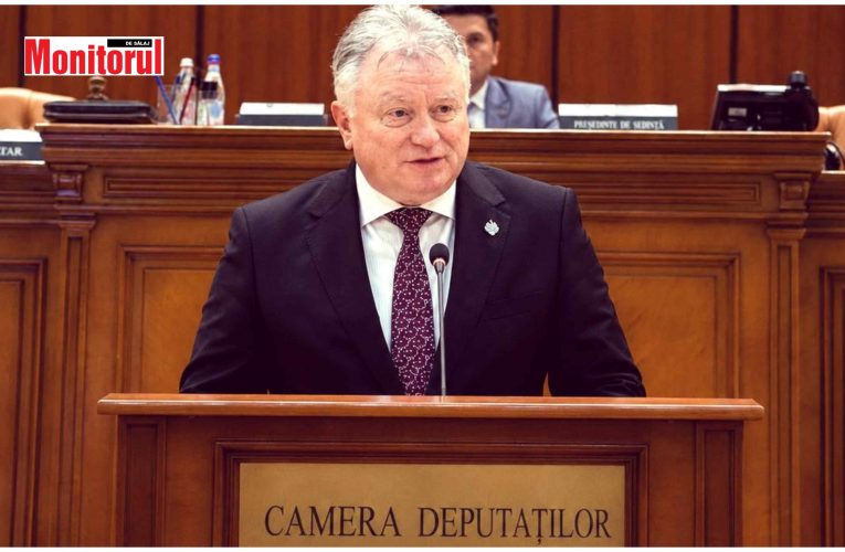 Deputatul PSD Ionel Ciunt susține dezvoltarea societății civile