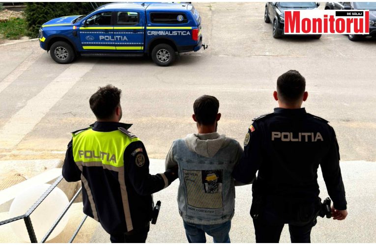 Tânăr din Satu Mare, reținut de polițiștii sălăjeni pentru furt calificat