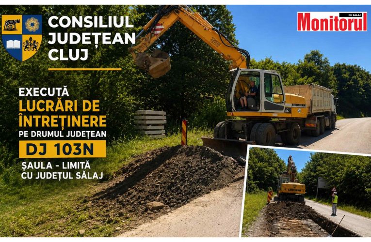 Lucrări de întreținere pe drumul județean DJ 103N Șaula – limită cu județul Sălaj