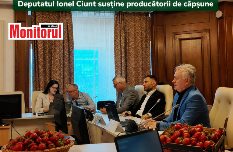 Deputatul Ionel Ciunt susține producătorii de căpșune