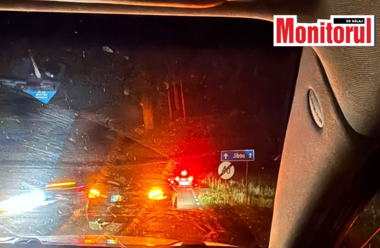 Căruță cu doi minori, lovită de mașină între Jibou și Someș Odorhei
