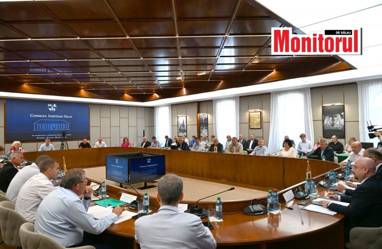 Consiliul Județean investește în conservarea patrimoniului local