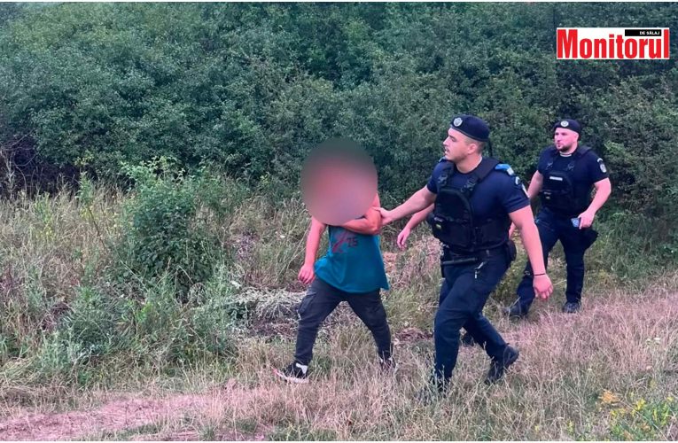 Doi bărbați, reținuți de jandarmi după ce au tâlhărit un minor din Ungaria