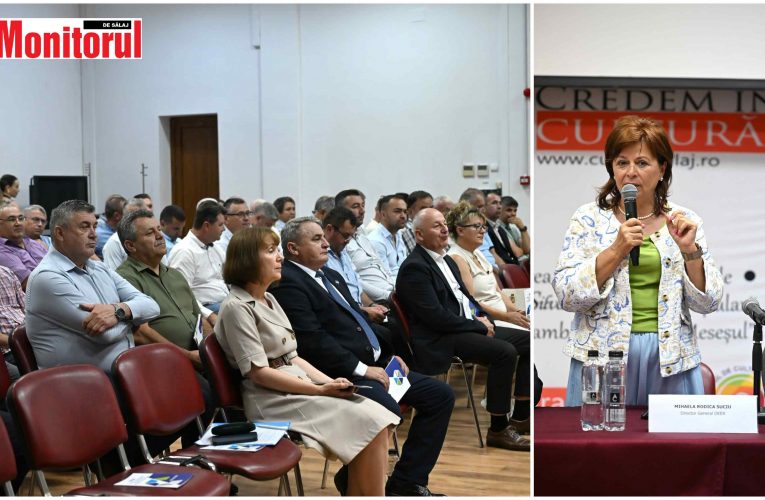 Primarii din Sălaj s-au întâlnit cu conducerea Distribuție Energie Electrică România