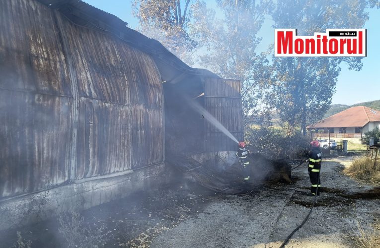 Incendiu la un depozit de plante furajere balotate, în localitatea Racâș