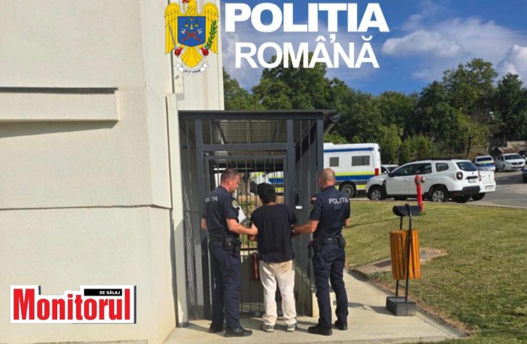 Bărbat din Românași reținut pentru furt calificat