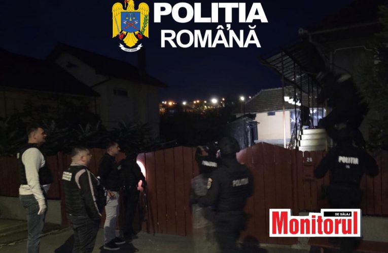 Doi bărbați din Zalău reținuți de Poliție pentru furt calificat