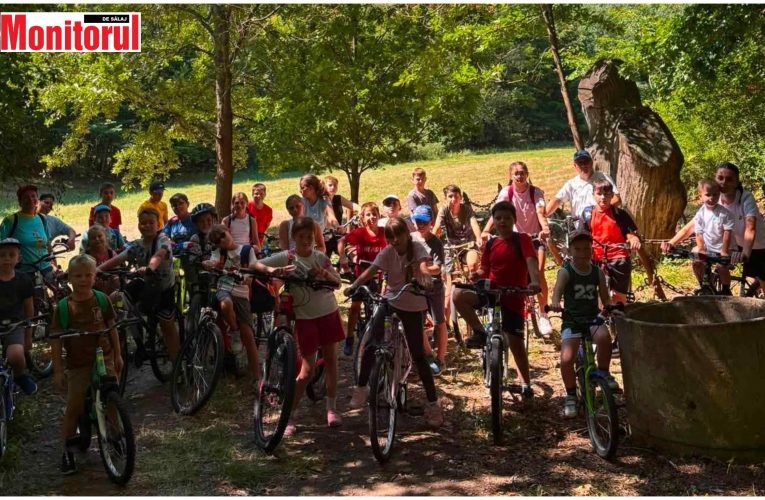 CJ Sălaj sprijină financiar activități sportive și de tineret