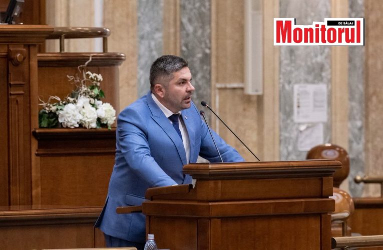 Senatorul Fodoca Liviu spune că va vota orice Guvern pentru România