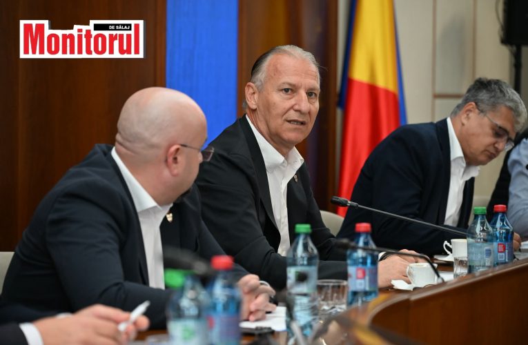 CJ Sălaj are în lucru proiecte de 110 milioane euro