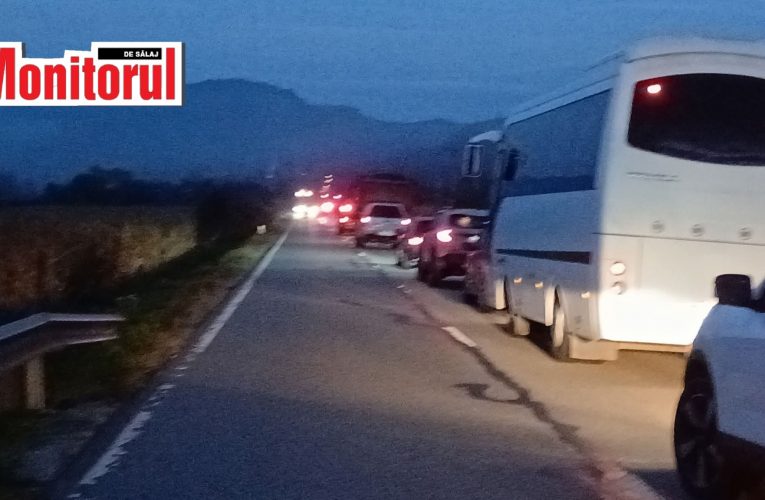 Căprioară lovită mortal de mașină între Ciocmani și Băbeni