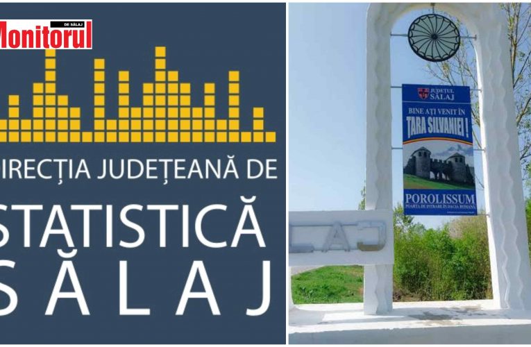 Radiografia sintetică a principalilor indicatori economico-sociali ai județului Sălaj